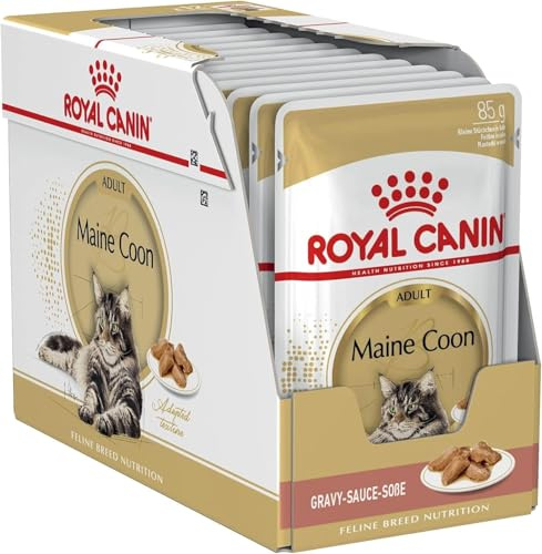 Royal Canin Maine Coon Adult | 12 x 85 g | Nassfutter für Katzen | Speziell auf die Bedürfnisse von Maine Coon Katzen abgestimmt | Mit angepasstem Energiegehalt