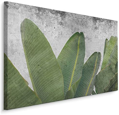 Muralo Leinwandbilder 120x80 Natur Pflanzen Blätter Grün Exotisch Tropisch Canvas Wandbild Kunstdruck Schlafzimmer Wohnzimmer Wanddekoration Design XXL Br. 120 cm x Hö. 80 cm Br. 120 cm x Hö. 80 cm