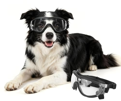 PETLESO Hundglasögon för gosse hundar anti-UV vindtäta hundar motorcykelglasögon med justerbart gummiband, hundsolglasögon för stora raser, L