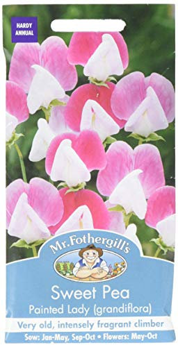 Mr Fothergill's 21510 Flower Seeds, Sweet Pea Painted Lady (grandiflora), Pink