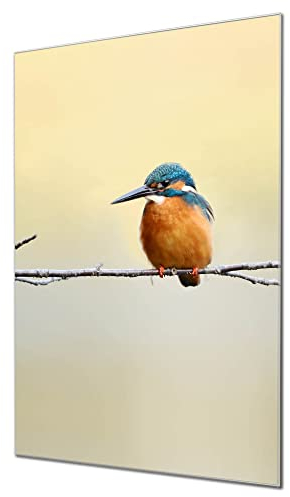 banjado Glas Magnettafel (50 x 75cm) - Magnetwand Glas - Magnetpinnwand als Memoboard - Pinnwand Magnettafel Küche, Büro, Kinderzimmer - Pause