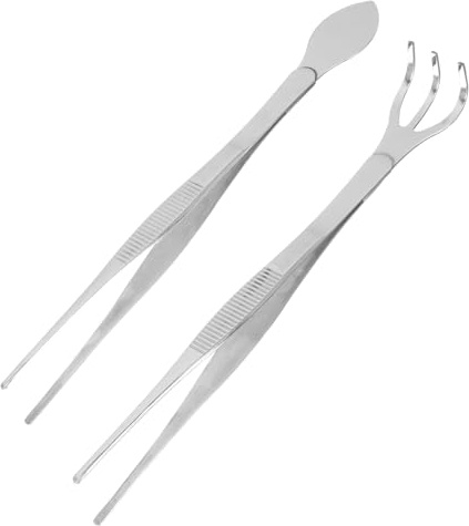 HIAKDOFT 1ensemble Set De Tweezers Et Râteau Acier Inoxydable pour Bonsai Outils De Jardinage Professionnels pour Plantations Et Entretien des Plantes Tweezers Râteau