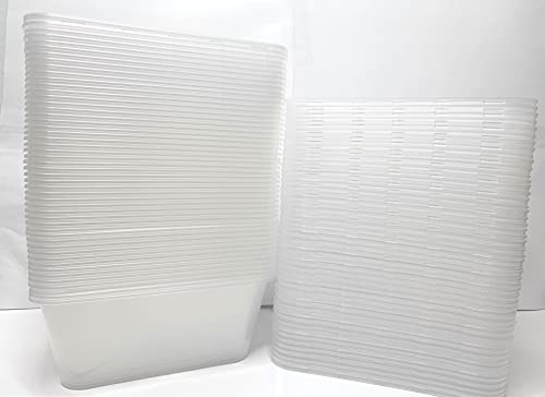 Party Warehouse - 24 x 750ml Clear Plastic Disposable Food Storage Containers with Lids - Microwave and Freezer Safe - Recyclable (24 Containers & 24 Lids 750ml)