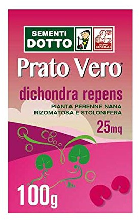 Sementi Dotto Dicondra Gr. 100