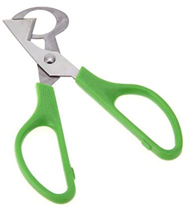 FACULX Stainless Steel Quail Egg Scissors Egg Slicer Pigeon Clipper Shell Separator Quail Egg Peeler Kitchen Scissor Egg Cracker Scissor Cooking Cutter Quail Egg Cutter