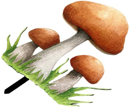 Happyyami Piquet De Jardin Champignon Acrylique Décoration Extérieure Créative pour Allée Et Jardin Accessoire Et Élégant pour Plantes Vertes
