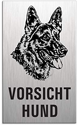 Türschild Vorsicht Hund 100x60 mm Aluminiumschild glashart eloxiert Edelstahloptik selbstklebend Nr.44663-S