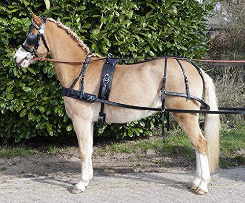 HKM Einspännergeschirr -Economic-, schwarz, Pony