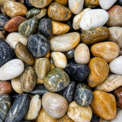 TODOSTONES Piedras de Colores de Alto Pulido tamaño 3-5 cm Bolsa de 5 kg | Piedra colores decoracion