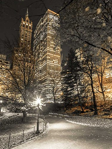 Kunst-Leinwand, auf Holz gespannt, Abendblick auf den Central Park in New York City Frank Assaf – Landschaft vertikales Bild Schönheit in Naturgebäuden Central Par 33_X_25_in