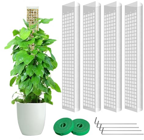DVAURLIAN 4 Stück 61 cm Moosstab für Monstera, Rankhilfe Zimmerpflanzen Moss Stick Transparente Pflanzstab Erweiterbare für Kletterpflanzen, Optimal für Indoor Garten