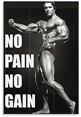 KFMD Fitness-Poster im Vintage-Stil, Bodybuilding Arnold Schwarzenegger 'No Pain No Gain', für Raumästhetik, 60 x 90 cm