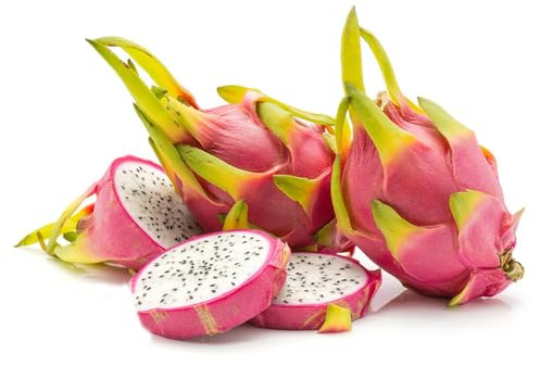 500 piezas semillas orgánicas de del dragón - exoticas resistentes al exterior semillas saladas columnar resistente, pequeño para mujeres,