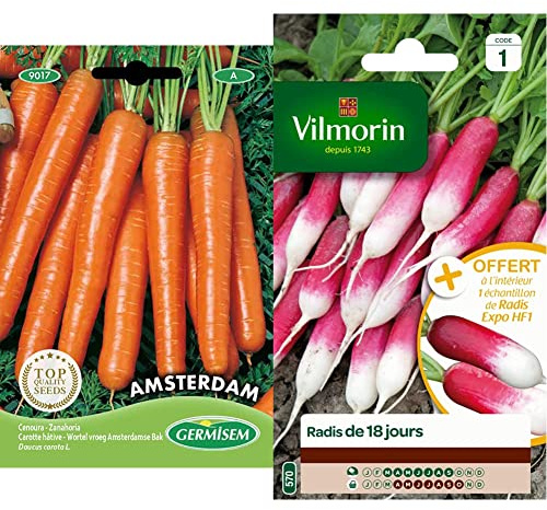Germisem graines Carotte hâtive AMSTERDAM & Vilmorin 3882041 Radis, Rouge, 90 x 2 x 160 cm