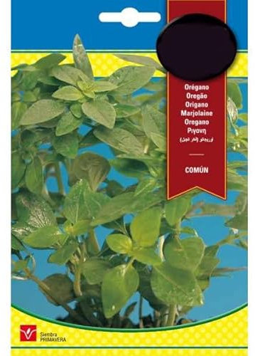 Planta de Orégano Sobre de Semillas Fáciles de Cultivar en Casa para Hacer Crecer Hierbas Aromáticas