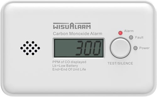 WisuAlarm GC20B-R8 Funk CO Melder Kohlenmonoxid Melder 7 Jahre Batterie Vernetzt 1 Stück Set - Kohlenmonoxidmelder mit Display - Kohlenmonoxid Messgerät EU-Norm DIN EN50291-5 Jahre Garantie - Weiß