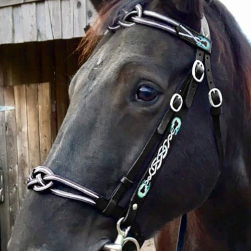 MDFCZXP Brida de Caballo Arnés de Caballo Ajustable - Arnés de Brida de Caballo Supplie - Collar de Cabeza Accesorios ecuestres Accesorios de Silla de Montar de Cabestro de Caballo,Negro,10cm