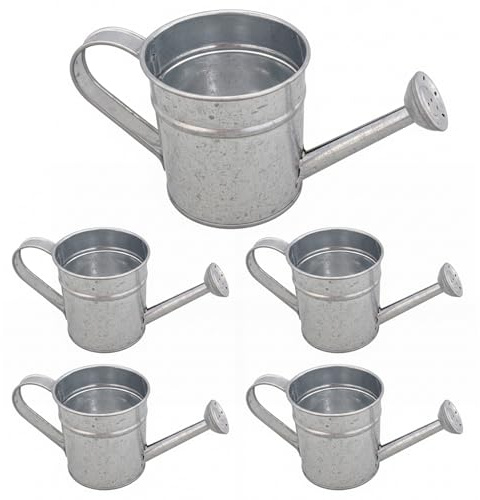 Paquet de 5 Mini arrosoirs, Petit arrosoir en métal pour Plantes d'intérieur, Pot d'arrosage en Fer galvanisé pour Le Jardinage des Enfants, Plantes succulentes, bonsaï, Mini Argent