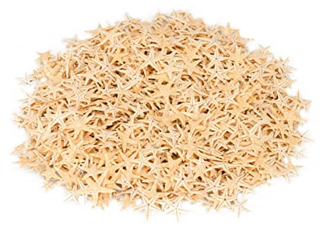 NaDeco Sugar Seesterne ca. 2-3cm, 100 Stück | Natürliche Deko Seesterne | Echte Mini Seesterne | Seesternchen | Maritime Dekoration