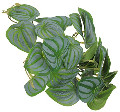 BUGUUYO Plante Suspendue Artificielle avec Ventouse Plante Reptile Réaliste pour Terrarium Décoration pour Habitat Amphibiens Et Reptiles