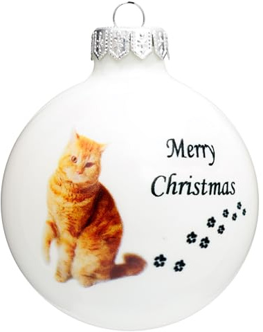 SIKORA Katze Weihnachtskugel aus Glas mit detailreichem Print Motiv besonderer Christbaumschmuck Ornament Figur Katzen Motive, Bedruckte Kugeln:Hauskatze rot Kugel (K009)