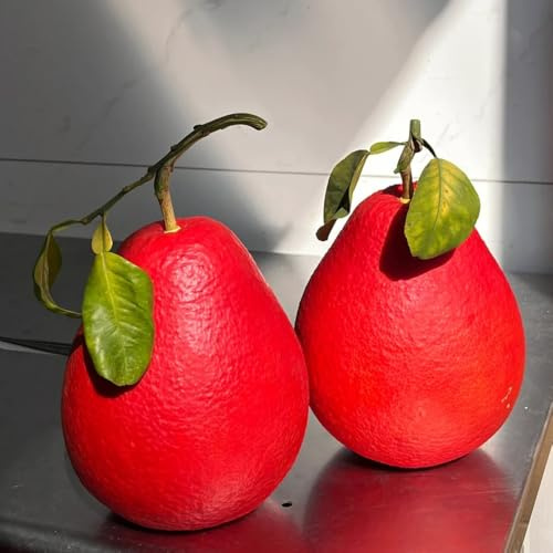 Pomelo semi di giardino letto elevato giardino perenni resistenti semi decorazione 35pcs
