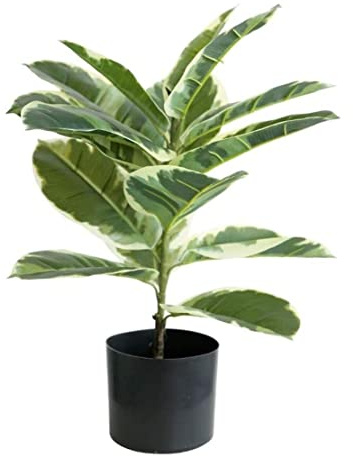 VVABRA Artificial Tree Fake Potted Nordic Greenery Plant Artificial Tree Plant Rubber Tree Indoor Bonsai Fake Trees Green Plant Home Office Decoration Artificial Plant Decor (Size : 56cm)