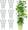 Lot de 6 tuteurs pour plantes d'intérieur - Durable et résistant à la corrosion - Réutilisable - Pour mini plantes grimpantes