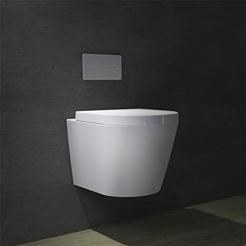 Biubiubath Rimless Wall Hung Toilet & Soft Close Seat Modern Bathroom White Ceramic WC Pan