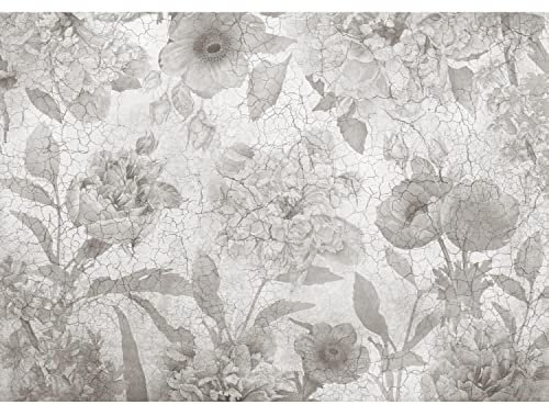 Runa Art Fototapete Blumen Pfingstrosen Betonwand 352 x 250 cm Vlies Tapeten XXL Moderne Wandtapete Wohnzimmer Schlafzimmer Schwarz Weiss 9417011c