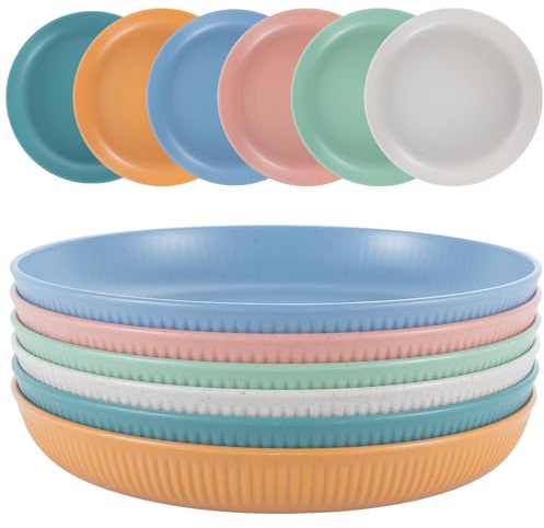 Dyserbuy 6pcs Plastic Plates, Lightweight Dinner Plates, Unbreakable Picnic Plate Set for Salad, Pasta, Party, Home, Camping, Microwave and Dishwasher Safe