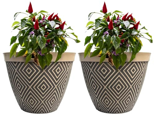 SG Traders Plant Pot Set - Stylish Planters for Outdoor Gardening - Versatile Garden Planters for Home, Large Plant Pots Ideal for Houseplants, Premium Pots and Planter for Garden Décor (Pack of 2)