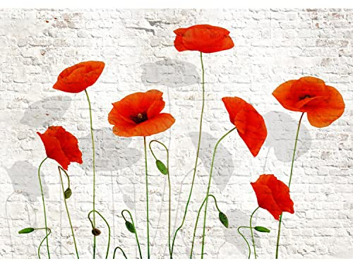 Runa Art Papier peint intissé brique coquelicots 352 x 250 cm Toison Mur XXL Tableaux Muraux Tapisserie Photo Décoration Murale Salon Chambre Blanc rouge 9390011a