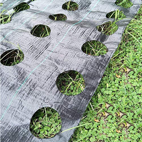 LAMF - Tappetino per il controllo delle erbacce, per verdure, resistente, per piante infestanti, per giardino, 100 x 360 cm, con foro per piantare diametro 7,5 cm