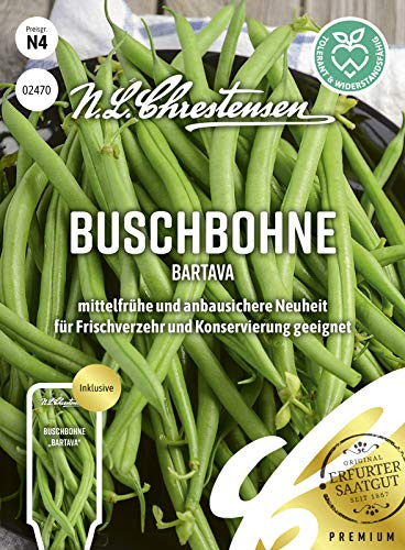 Buschbohne Bartava Samen, Saatgut