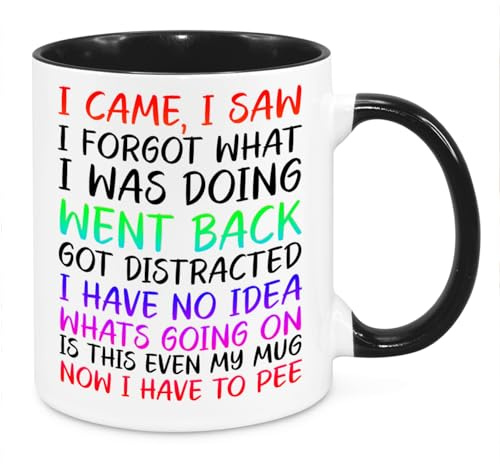 Cherish Charlie Designs I Came I Saw I Forgot Mug - Funny Novelty Gift Silly Present Mugs for Women Birthday Christmas for Mum Dad Friend Sister for Men Colleague Secret Santa Work Quotes (Rainbow)