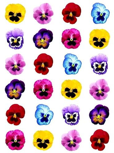 24 x Pansies Flower Party Pack Edible Wafer or Icing Cupcake Toppers Fun Spring Themed Party Cake Decorations Perfect For Brownies Cookies Muffins & More! (Edible Wafer Card)