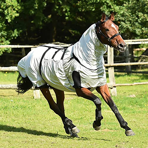 Busse Ekzemerdecke Strong