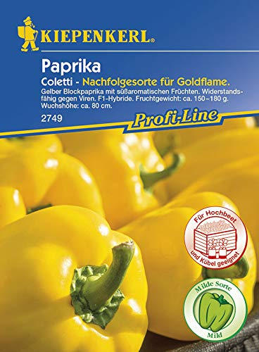 Kiepenkerl Profi-Line Blockpaprikasamen Coletti, F1 2749 für 9 Korn – Widerstandsfähige Paprikasamen für milde, saftige Paprika – Früh reifende Sorte mit leuchtend gelben Früchten