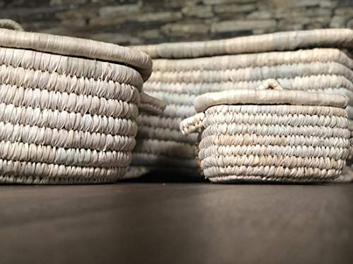 Maison Zoe Palmkorb rechteckig mit Deckel - klein - 100% Handmade - ökologisch und nachhaltig - Wäschekorb - Flechtkorb