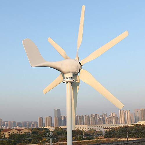 Ship From UK Low Noise 800w Wind Turbine Free Energy 12v 24v Wind Generator Small Windmill MPPT Controller Homeuse Street Lamps Boat (12V with Controller)