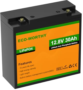 ECO-WORTHY LiFePO4 Batterie 12V 30Ah mit BMS Schutz und Max. 15000 Zyklen,384Wh Lithium Camping Batterie 12V 30Ah für Wohnmobile,Trolling-Motor,Boot