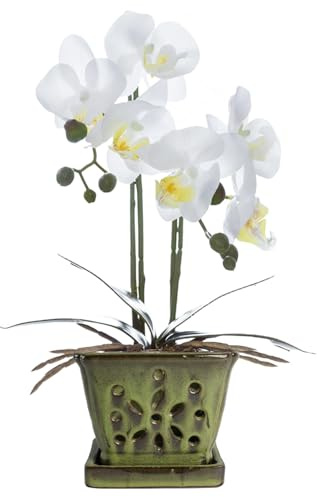 vensovo 14 cm Rectangular Ceramic Orchid Pot with Holes, Green