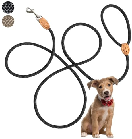 LeileiPaws Tauleine Hund – Nylon Hundeleine für kleine, mittelgroße & große Hunde – hundeleine leicht mit Schlaufe für kleinere Hunde, robuste Hundeleine große Hunde (Schwarz, 3m x 0.8cm)