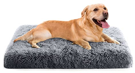 PETCUTE Orthopädische Hundekissen Katzenbett,Waschbar Haustierbett für Katzen und Hunde,Flauschiges Hundebett mit Memory Foam,Bequeme Weich Hundebett mit rutschfeste Unterseite mit Abnehmbarem Bezug | Hundekissen, abnehmbar, rutschfester Boden, atmungsaktiv, Hundebett, weiche Polsterung