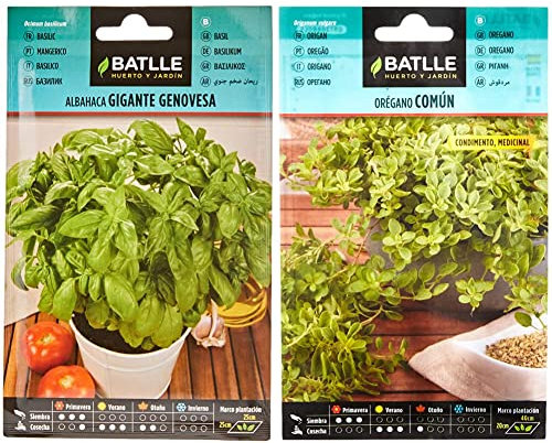 Semillas Batlle - Albahaca GIGANTE Genovesa, Color Verde & Orégano - Origanum vulgare