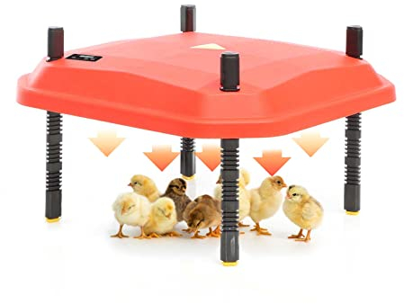 Fudajo Panneau chauffant – 30 x 40 cm – 30 W – pour élevage de 30 poussins au max. – Plaque de chauffage – éleveuse d'oisillons avec Thermostat