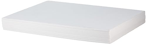 Cathedral Products FBWHTA310 Skumskiva, Vit, A3, 10 stycken