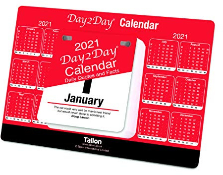 2021 Day To Day Desk Top Stand Up Tear Off Block Calendar - Daily Quotes & Facts
