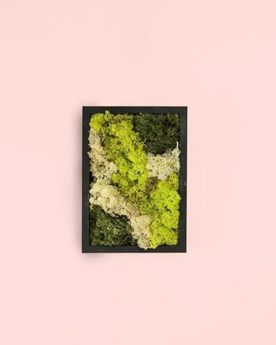 Jardín Vertical Mini | Musgo Natural Preservado | Pur Plant